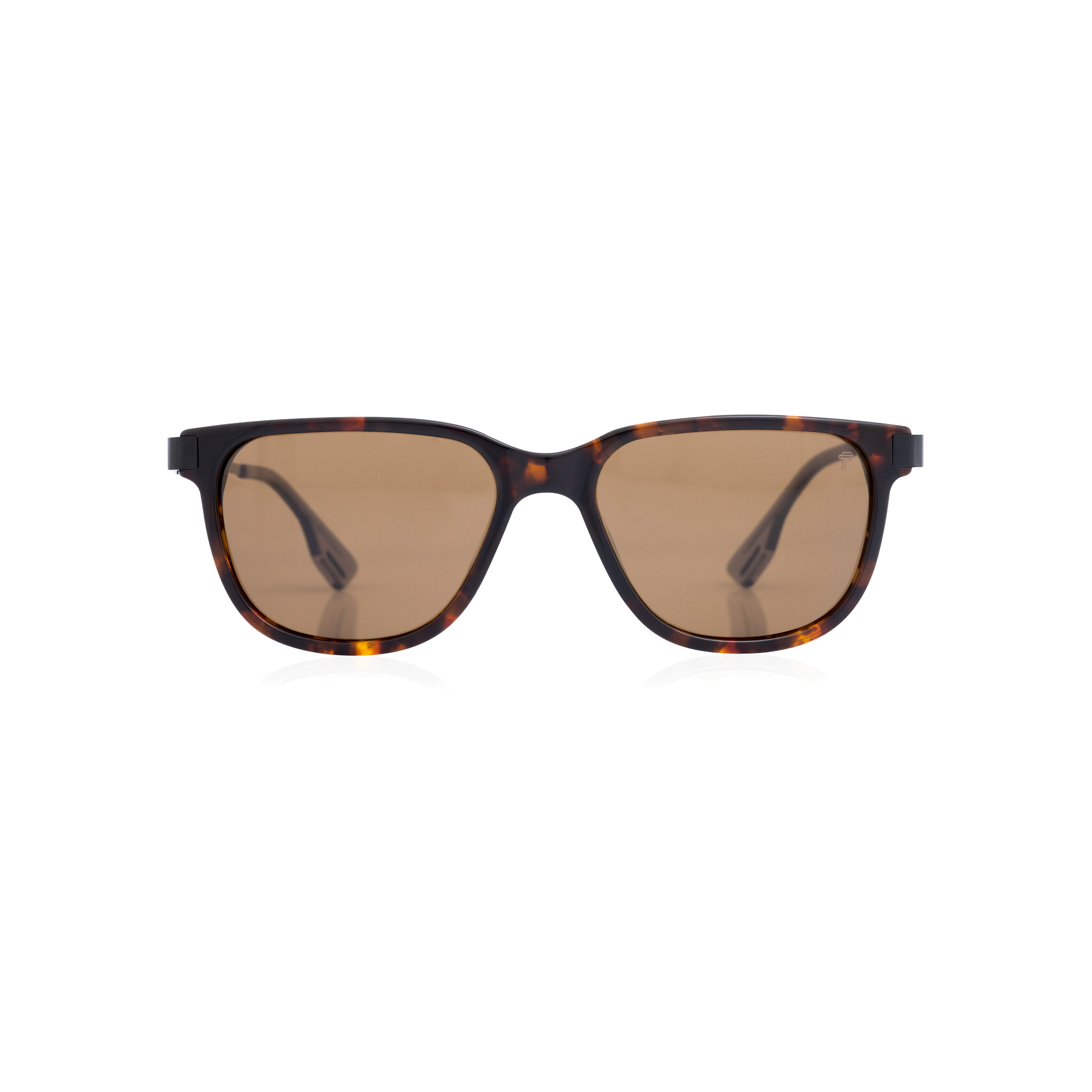 Specta Sunglasses - Tortoise